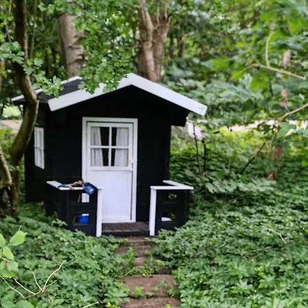 Classic Gem In Near The Water *